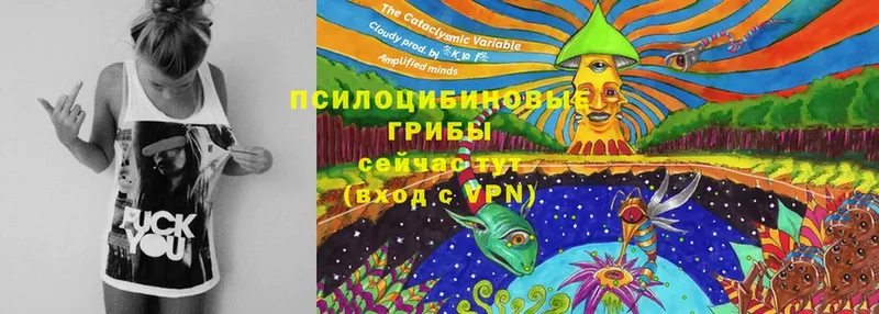 блэк спрут tor  Югорск  Галлюциногенные грибы мухоморы 